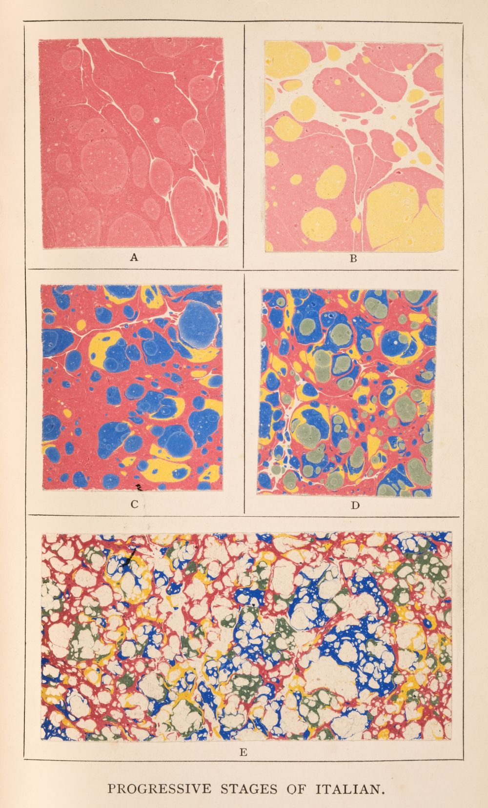 Woolnough (C. W.). The Whole Art of Marbling as applied to paper, 3rd ed., 1881