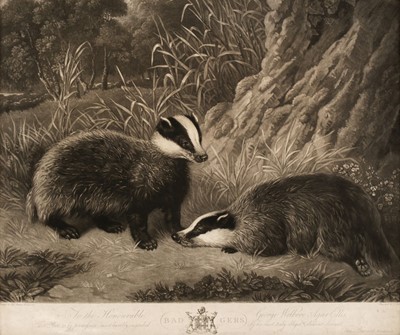 Lot 205 - Turner (Charles). Badgers, C. Turner, 1815