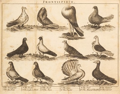 Lot 44 - Girton (Daniel). The Complete Pigeon-Fancier, circa 1790