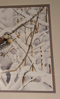 Lot 106 - Boyer (Trevor, 1948-). Fieldfare perched on a snow laden tree in a wood, watercolour
