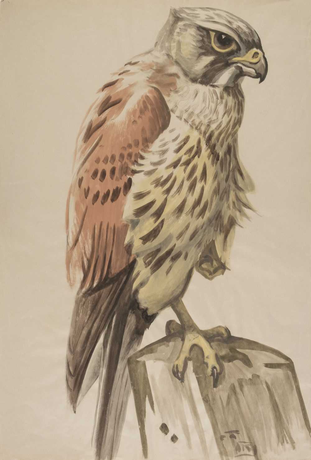 Lot 99 - Talbot Kelly (Richard Barrett, 1896-1971). 20 watercolours of birds, and others