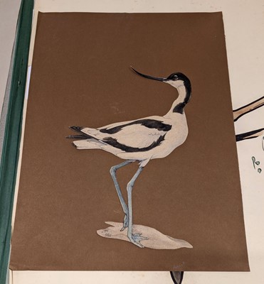 Lot 99 - Talbot Kelly (Richard Barrett, 1896-1971). 20 watercolours of birds, and others