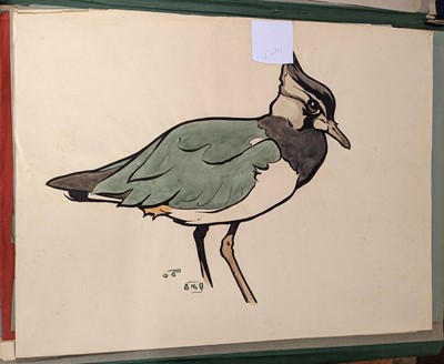 Lot 99 - Talbot Kelly (Richard Barrett, 1896-1971). 20 watercolours of birds, and others