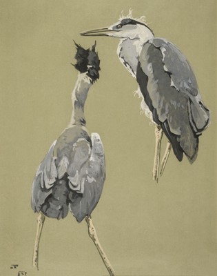 Lot 103 - Talbot Kelly (Richard Barrett, 1896-1971). Studies of a Grey Heron, watercolour and gouache