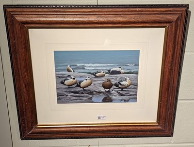 Lot 107 - Boyer (Trevor, 1948-). Steller's Eider at the Shore