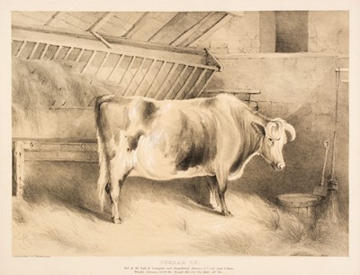 Lot 164 - Ducote (A.). Durham Ox. Fed by the Earl of Liverpool..., 1840