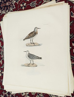 Lot 190 - Selby (John Prideaux). A collection of forty engravings of British Birds, 1818 - 23
