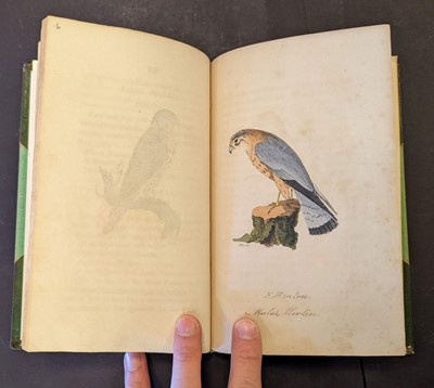 Lot 82 - Hunt (John). British Ornithology, 3 volumes in 2, Norwich: Bacon & Co, 1815