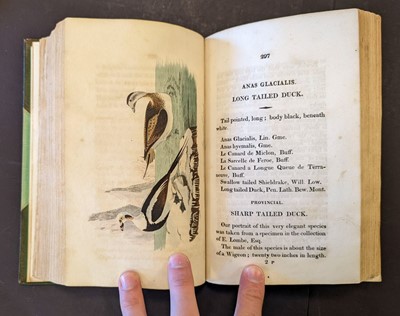 Lot 82 - Hunt (John). British Ornithology, 3 volumes in 2, Norwich: Bacon & Co, 1815