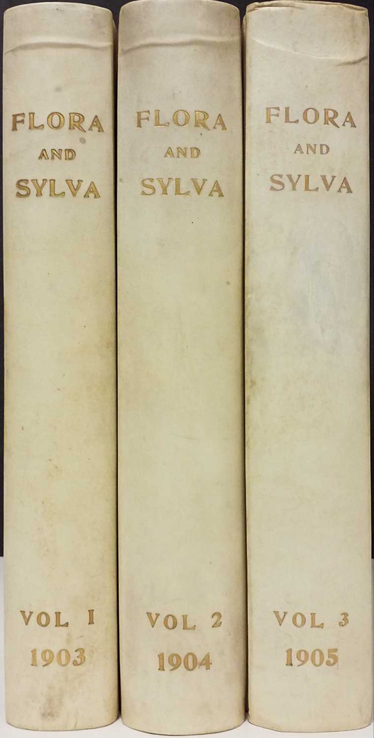 Lot 59 - Robinson (William [editor]). Flora and Sylva, 3 volumes, London, 1903-05