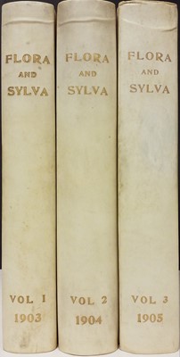 Lot 59 - Robinson (William [editor]). Flora and Sylva, 3 volumes, London, 1903-05