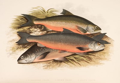 Lot 54 - Houghton - British Freshwater Fishes 2 vols. £200-300