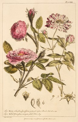 Lot 80 - Miller (Philip). Figures of the Most Beautiful, Useful, and Uncommon Plants ..., 1st edition, 1760