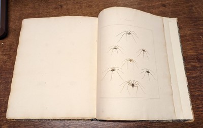 Lot 77 - Martyn (Thomas, editor).Aranei, or a Natural History of Spiders, 1793