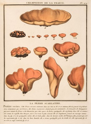 Lot 52 - Bulliard (Jean Baptiste Francois). Histoire des Champiogns de France, 3 volumes, 1780-1812