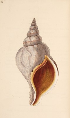 Lot 64 - Donovan (Edward). The Natural History of British Shells, 5 volumes, 1799-1803
