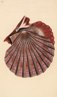 Lot 64 - Donovan (Edward). The Natural History of British Shells, 5 volumes, 1799-1803