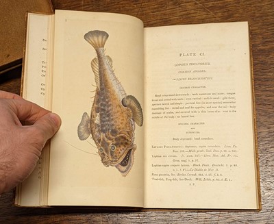 Lot 61 - Donovan (Edward). The Natural History of British Fishes, 5 volumes, 1802-08