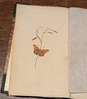 Lot 62 - Donovan (Edward). The Natural History of British Insects, 16 volumes in 8, 1813-11