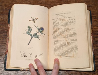 Lot 53 - Curtis (John). British Entomology, 8 volumes, 1823-40