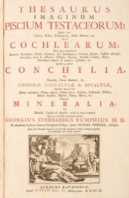 Lot 86 - Rumpf (George Eberhart). Thesaurus imaginum piscium testaceorum, 1711