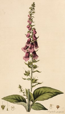 Lot 55 - Curtis (William). Flora Londinensis, volume I only, 1777