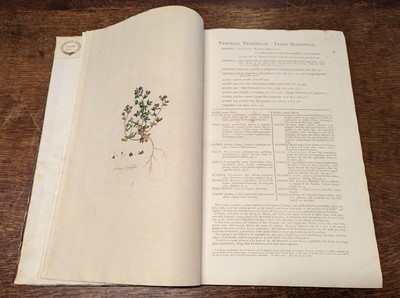 Lot 54 - Curtis (William). Flora Londinensis, 2 volumes bound in 6, 1st edition, 1777-1798