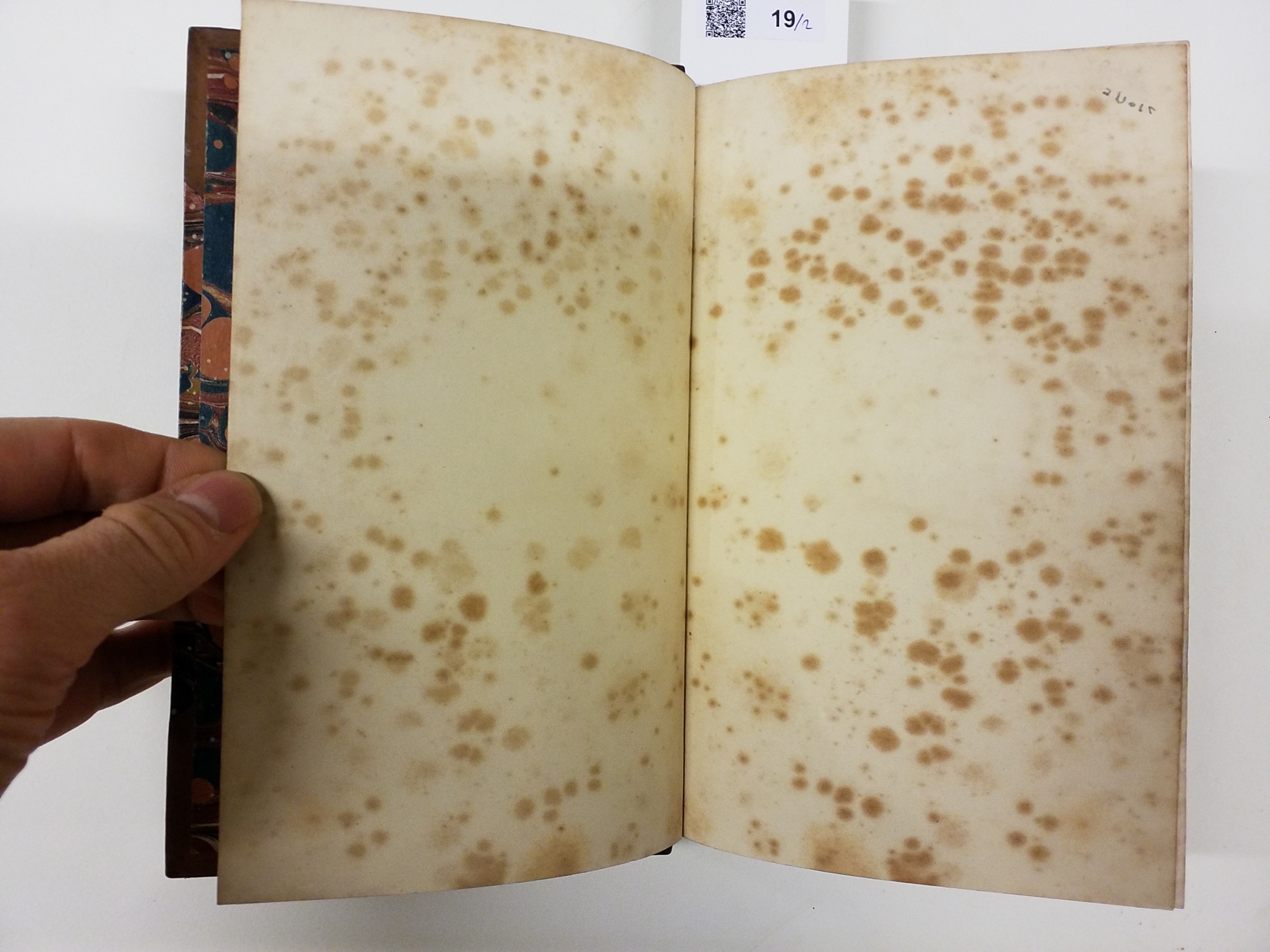 Lot 19 Palgrave (William Gifford). Narrative of a