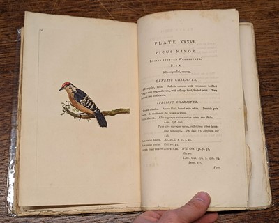 Lot 60 - Donovan (Edward). The Natural History of British Birds, 2 volumes only 1794-95