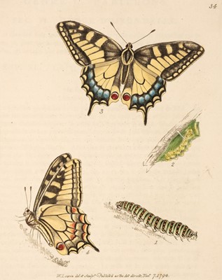Lot 75 - Lewin (William). The Insects of Great Britain, 1795