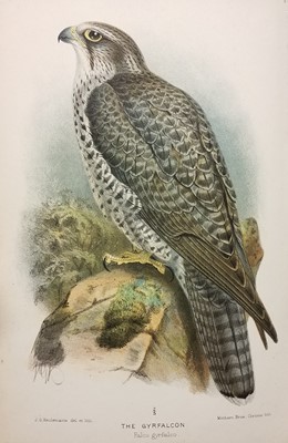 Lot 324 - Ornithology. A large collection of modern ornithology reference