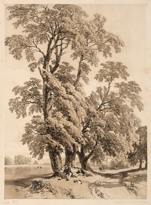 Lot 69 - Harding (James Duffield). The Park and the Forest, London: Thomas Maclean, 1841