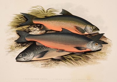 Lot 72 - Houghton (William). British Fresh-Water Fishes, 1879