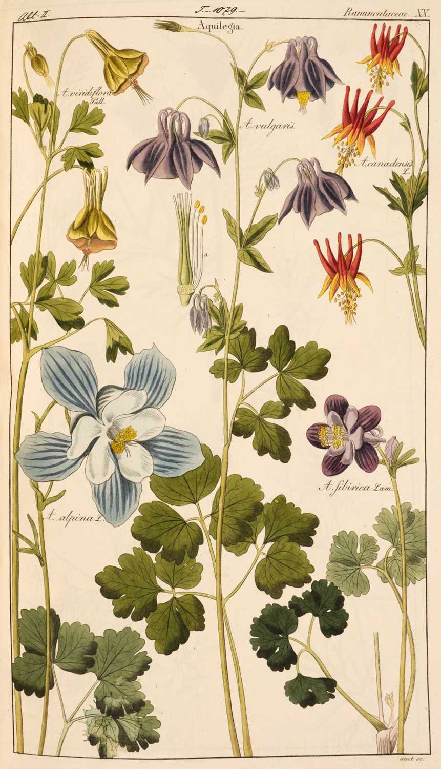 Lot 59 - Dietrich (Dr. David). Flora Universalis in