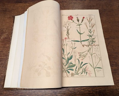 Lot 59 - Dietrich (Dr. David). Flora Universalis in Colorierten Abbildungen..., volume 5 (only), circa 1840