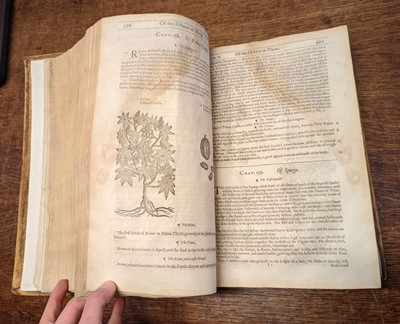 Lot 67 - Gerard (John). The Herball or Generall Historie of Plantes... very much enlarged and amended, 1636