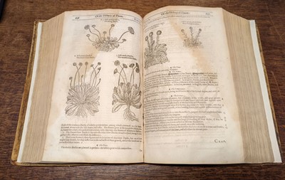 Lot 67 - Gerard (John). The Herball or Generall Historie of Plantes... very much enlarged and amended, 1636