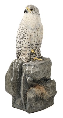 Lot 96 - Wood (Mike, 20th/21st century). Gyrfalcon (Falco rusticolus), late 20th century