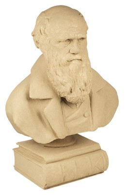 Lot 95 - Cast resin bust. A life-sized bust of Charles Darwin, 20th century