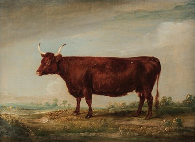 Lot 112 - English Naive School (early 19th century). Portrait of a Longhorn cow