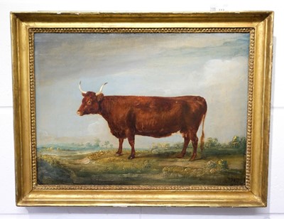 Lot 112 - English Naive School (early 19th century). Portrait of a Longhorn cow