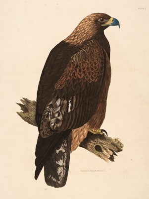 Lot 547 - Selby (John Prideaux). A collection of twenty-seven engravings of British Birds, 1818 - 23