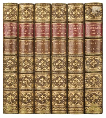 Lot 81 - Pratt (Anne). The flowering plants, grasses, sedges..., 6 vols., [1873]