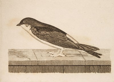 Lot 84 - Walcott (John). Synopsis of British Birds, 1st edition, 2 volumes, London: W. Justins, 1789