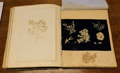 Lot 83 - Seaweed. A mid-19th-century album of Seaweed Specimens collected from Weymouth