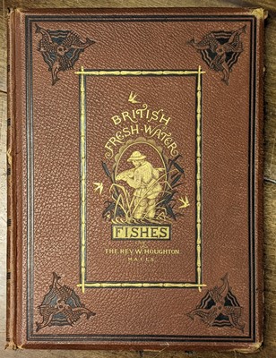 Lot 75 - Houghton (William). British Fresh-Water Fishes, 2 volumes, [1879]