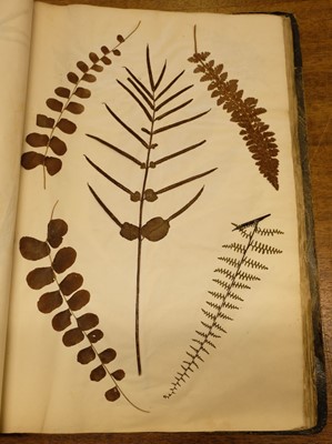 Lot 72 - Ferns. A large album of dried and pressed specimens, late Victorian