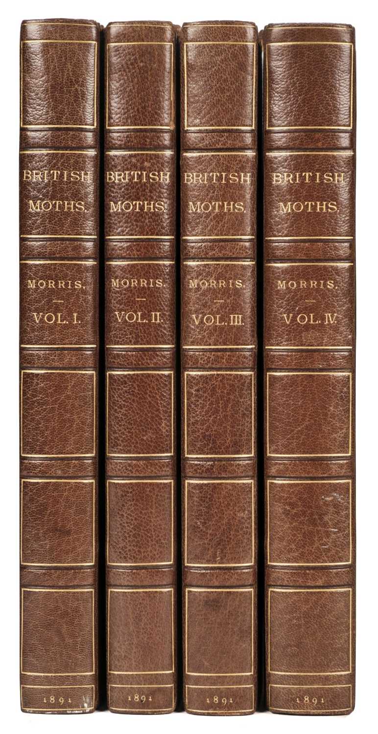 Lot 75 - Morris (F.O.) A Natural History British Moths, 4 volumes, 1891