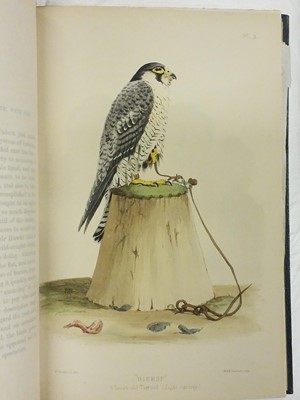 Lot 87 - Salvin (Francis Henry and William Brodrick). Falconry in the British Isles, 1873
