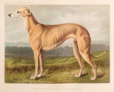 Lot 69 - Shaw (Vero). The Illustrated Book of the Dog, circa 1880